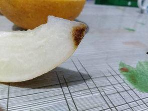 梦见切哈密瓜吃,切哈密瓜的甜蜜启示