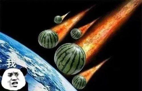 这个周末大家都吃瓜,全民吃瓜大揭秘