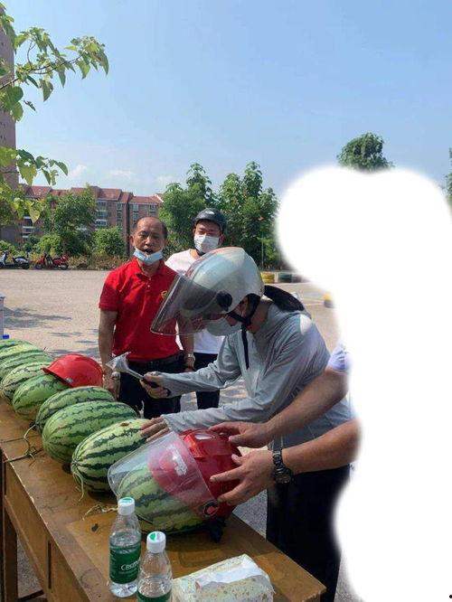 桂林最新吃瓜事件,揭秘背后真相与网络热议