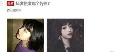 真人吃瓜脸,揭秘娱乐圈的“瓜田”奇观