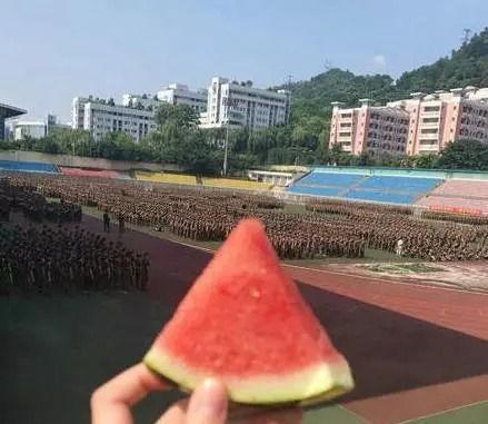 郑州幼儿师范吃瓜,揭秘背后真相与反思