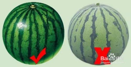 粘瓜不熟可吃吗,能否食用揭秘