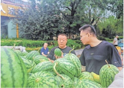 山东济南吃瓜,品味泉城清凉一夏