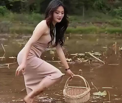 媛子吃瓜,揭秘娱乐圈幕后故事