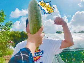 带你吃瓜团,揭秘娱乐圈那些不为人知的幕后故事