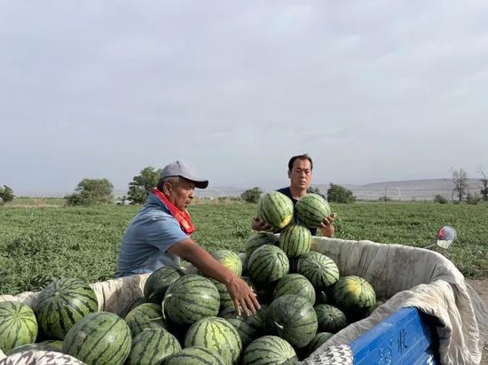 吃瓜季节音乐,吃瓜季节的音乐盛宴