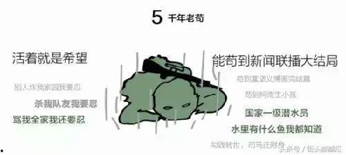 带你吃瓜尖叫鸡,带你领略“带你吃瓜尖叫鸡”的独特魅力