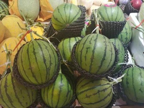 玉心吃瓜,揭秘娱乐圈那些不为人知的幕后故事