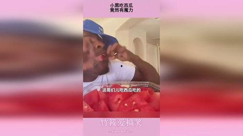 吃瓜小黑崽,揭秘娱乐圈幕后故事