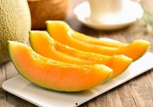 吃哈密瓜能不能吃鸭肉,美味搭配的饮食探索