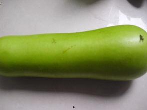 葫芦瓜怎么烧得吃,家常美味轻松学