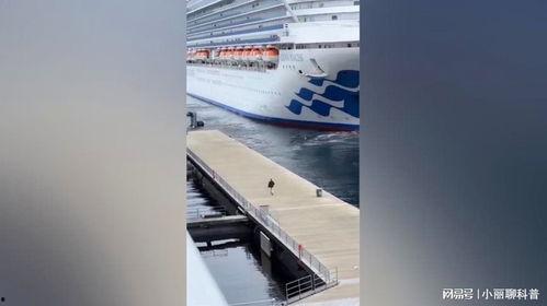邮轮吃瓜,揭秘邮轮上的吃瓜风云