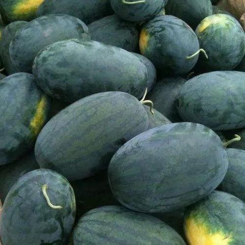 湖北体院吃瓜,揭秘校园内幕，真相大白！