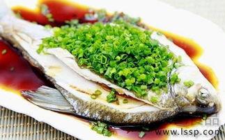 八瓜鱼如何吃,八瓜鱼的多重美味吃法揭秘