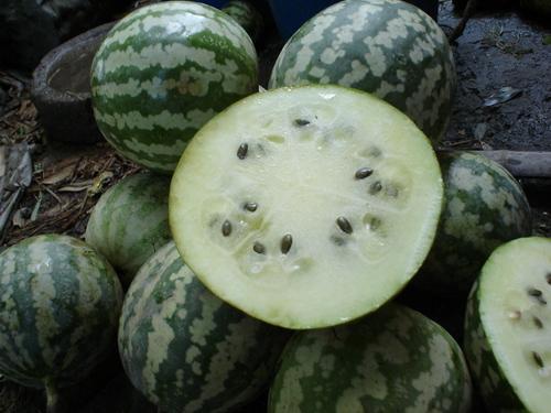 圆浦瓜怎么吃,探索美味与营养的完美融合