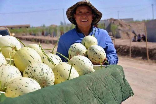 想当个吃瓜看客,做个吃瓜看客，笑看风云变幻