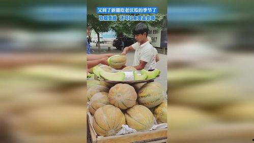新疆吃老瓜,探寻老瓜的独特魅力