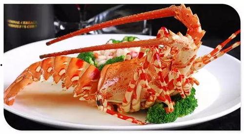 吃澳洲龙虾看吃瓜,吃瓜群众围观美食狂欢