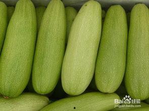 散白瓜怎么吃,轻松解锁夏日清新美味