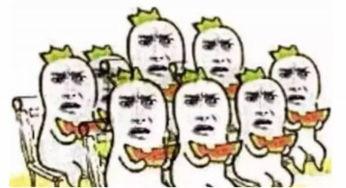 吃瓜群众9527海安,揭秘网络红人的崛起之路